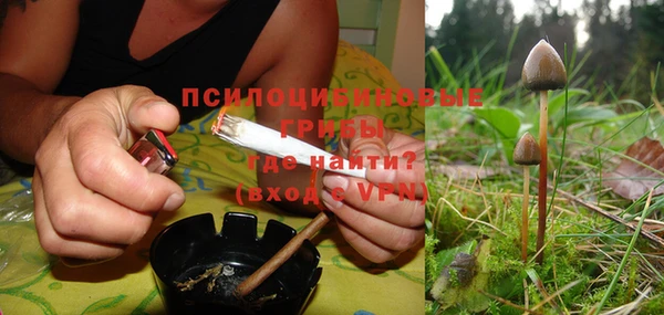 мяу мяу мука Балабаново